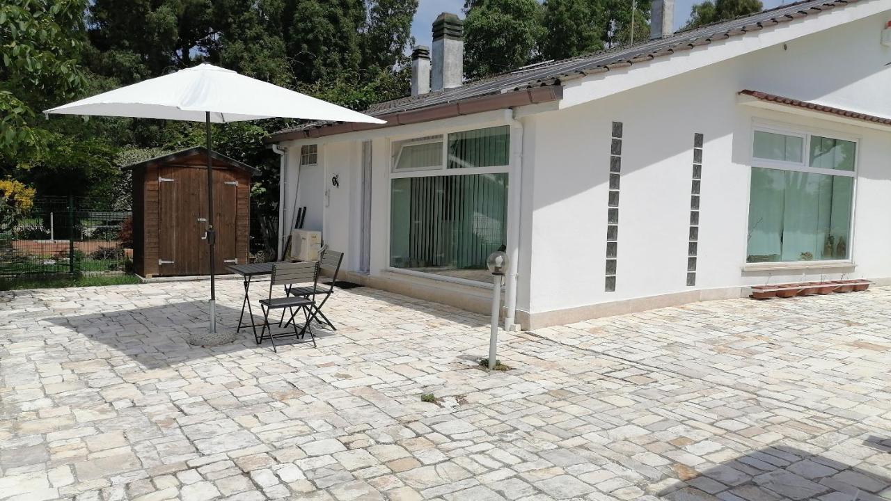 Delizioso Open Space Da Letizia Помеция Екстериор снимка